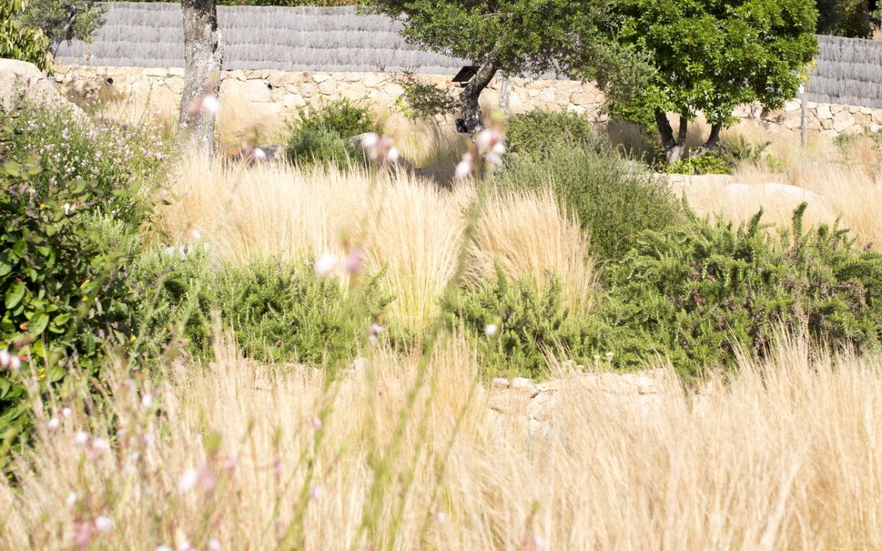 jardin de Val di Suaru_Sotta